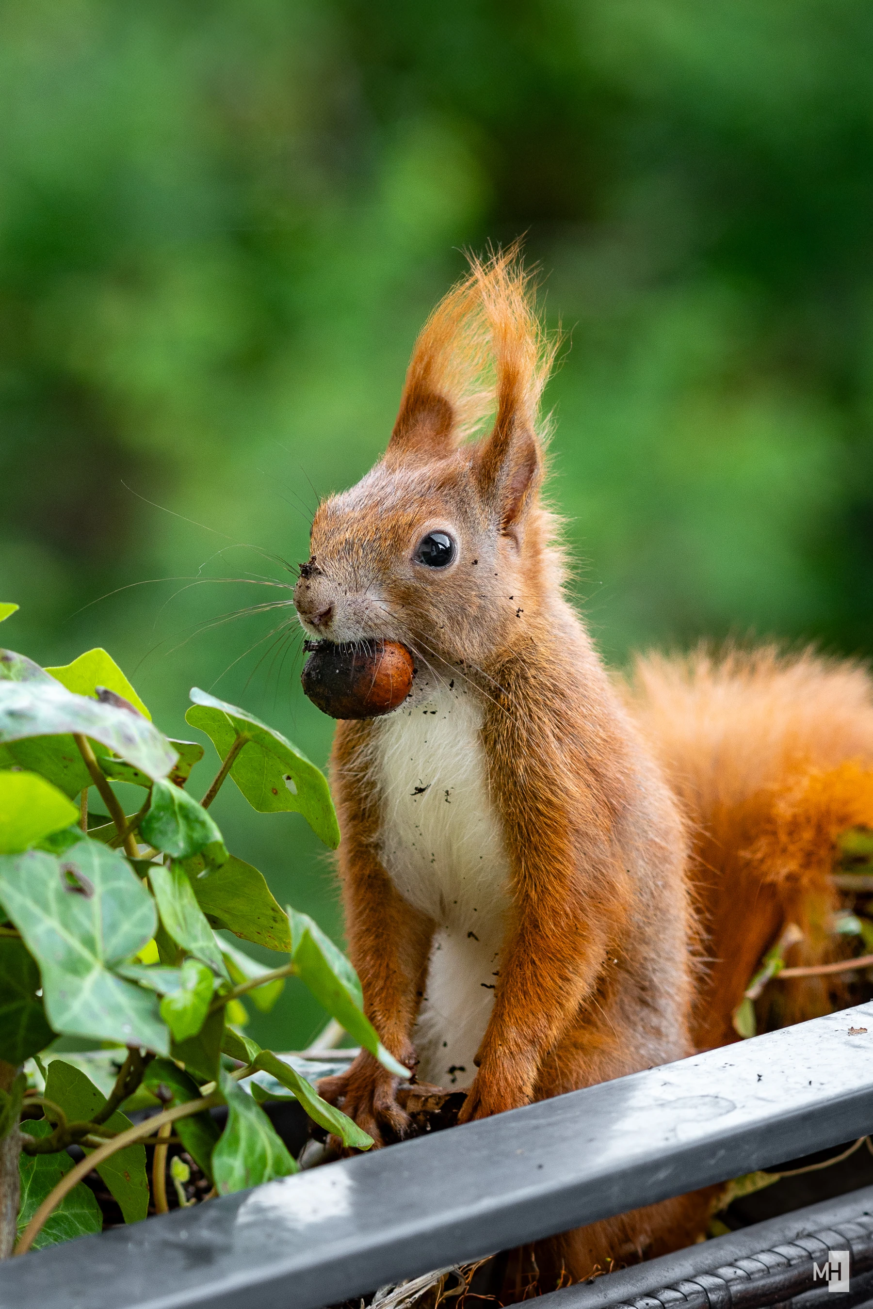 pixelgraphix-manuela-hoffmann-2025-juni-05-22