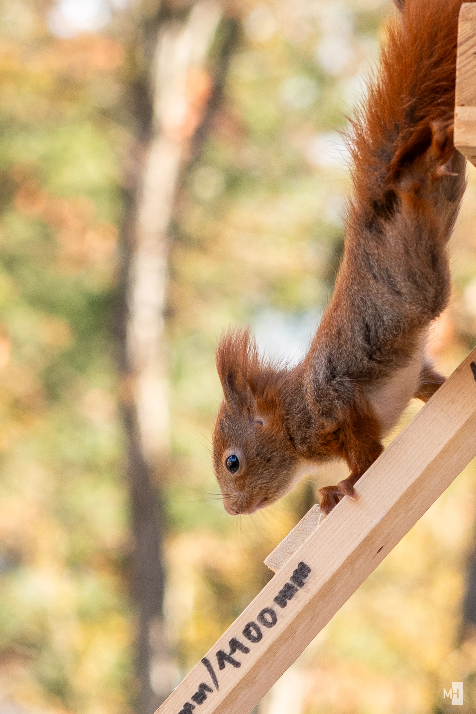 pixelgraphix-manuela-hoffmann-2025-april-01-41