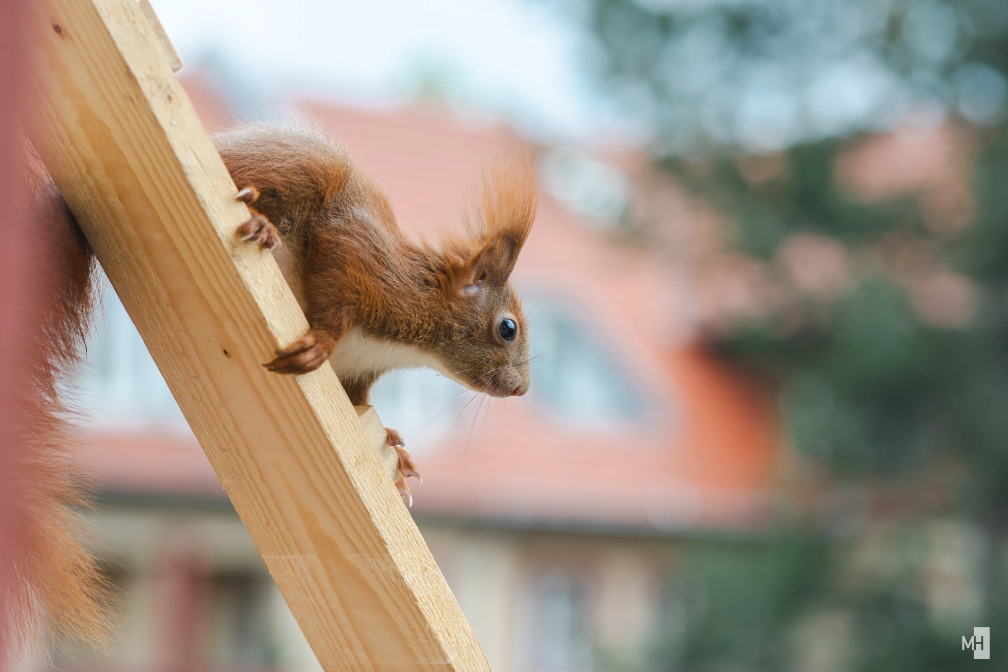 pixelgraphix-manuela-hoffmann-2025-april-23-38