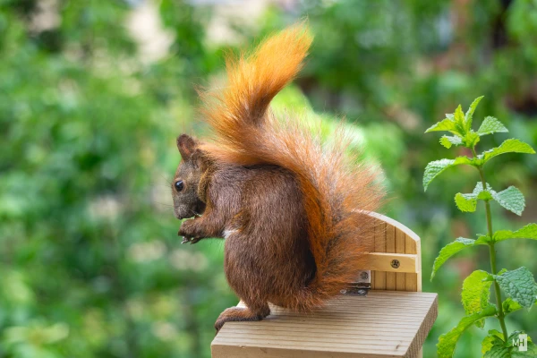 pixelgraphix-manuela-hoffmann-2024-juni-05-47