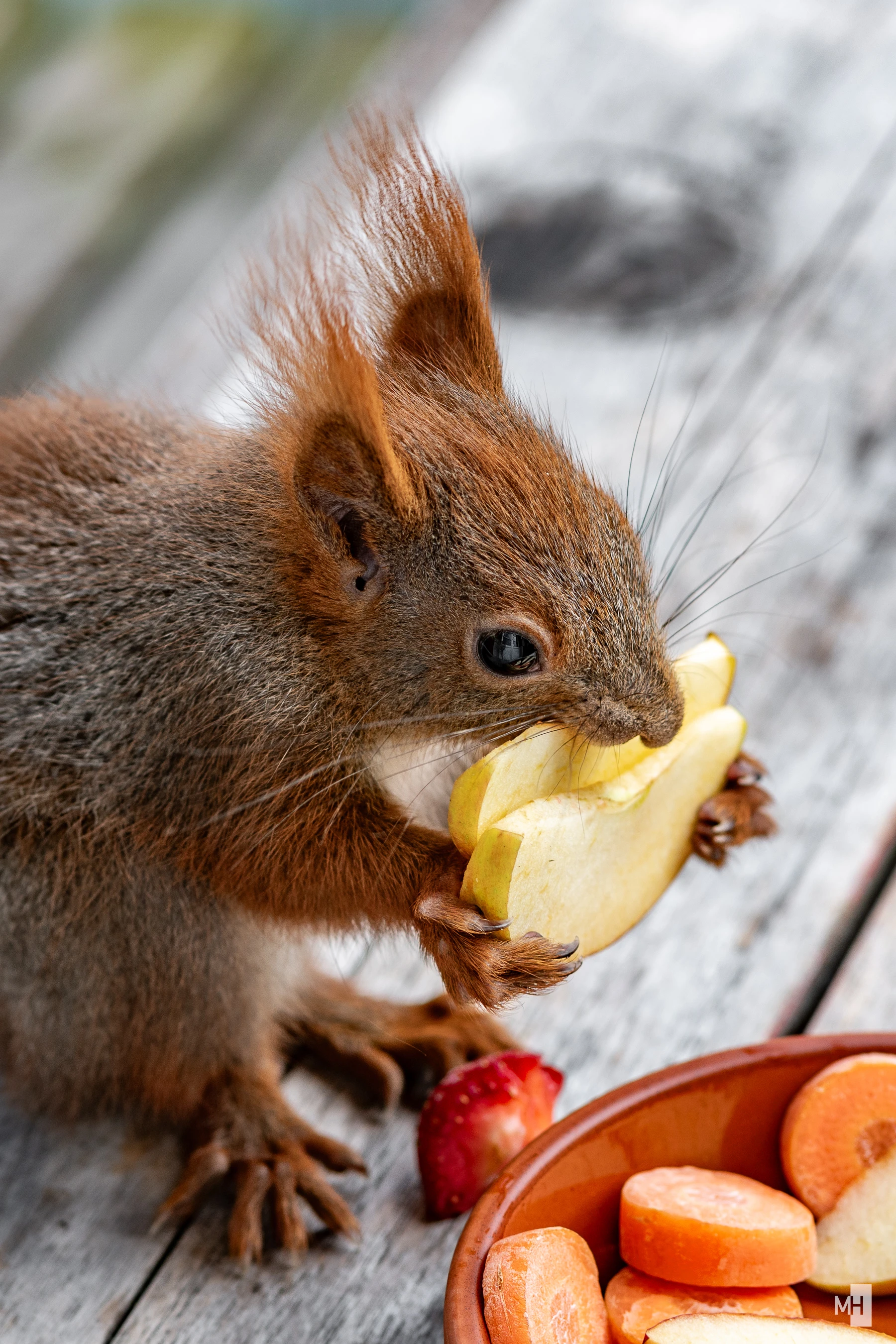 pixelgraphix-manuela-hoffmann-2025-mai-27-04