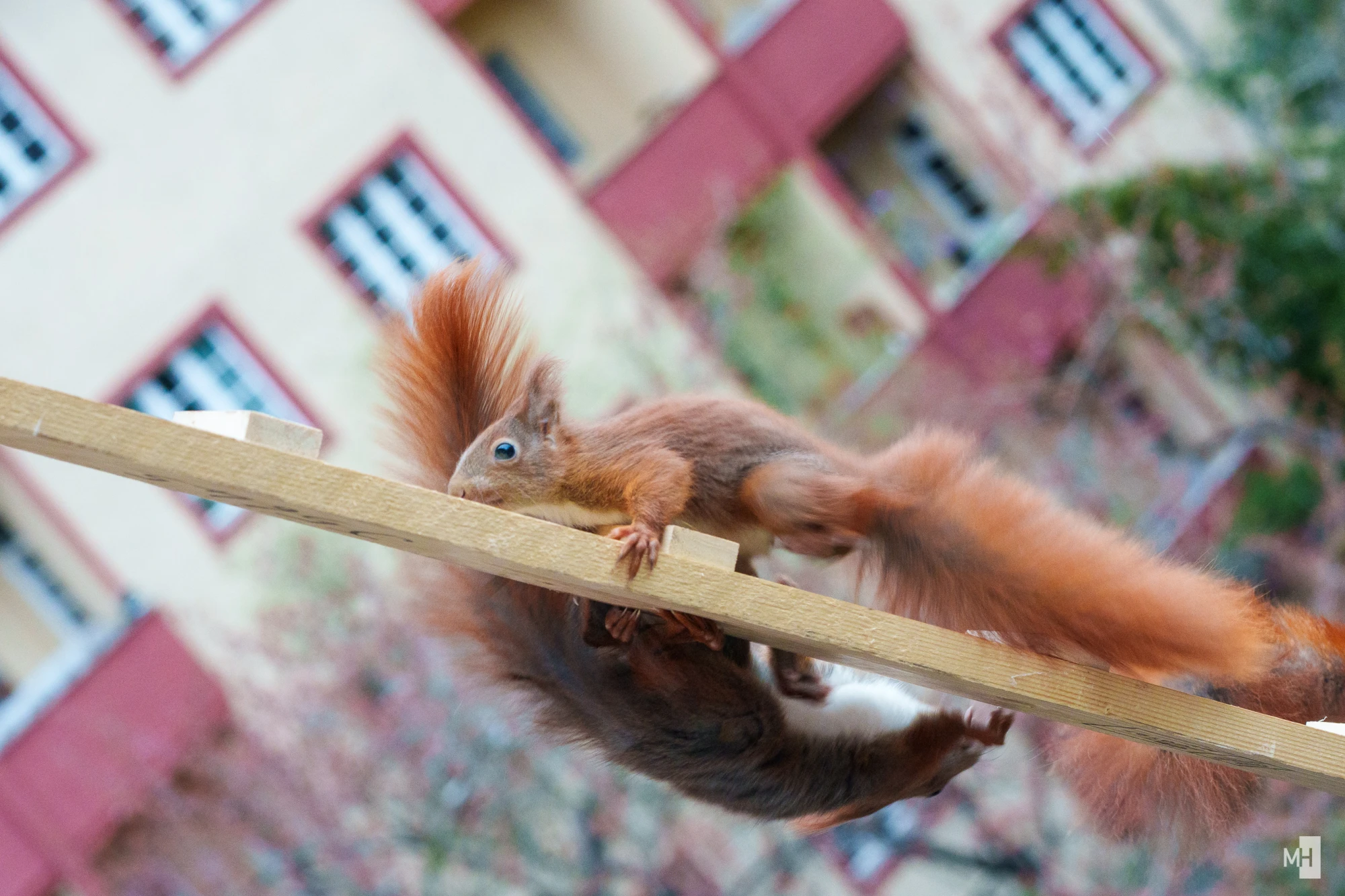 pixelgraphix-manuela-hoffmann-2025-april-07-44