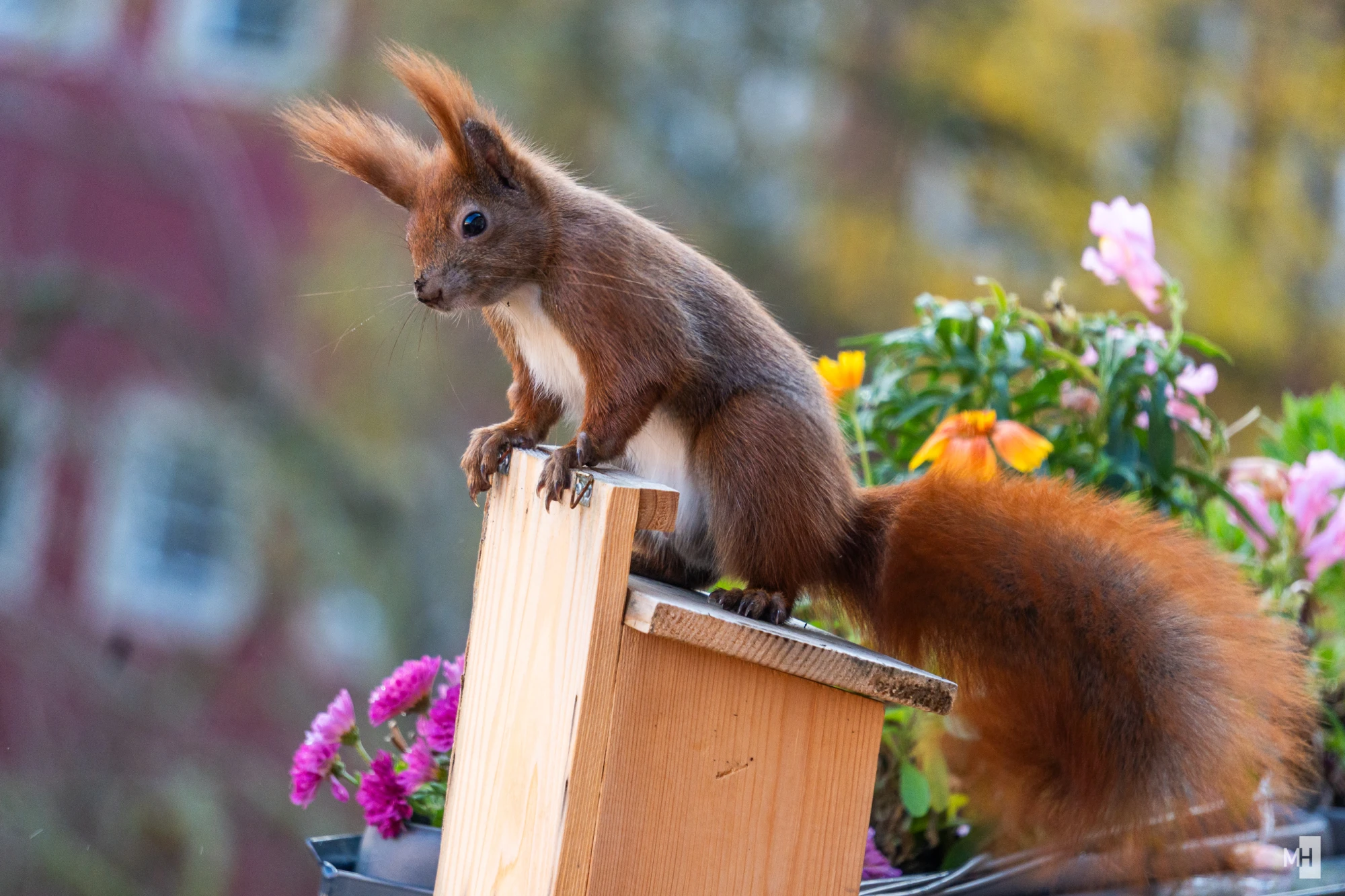 pixelgraphix-manuela-hoffmann-2024-november-21-41