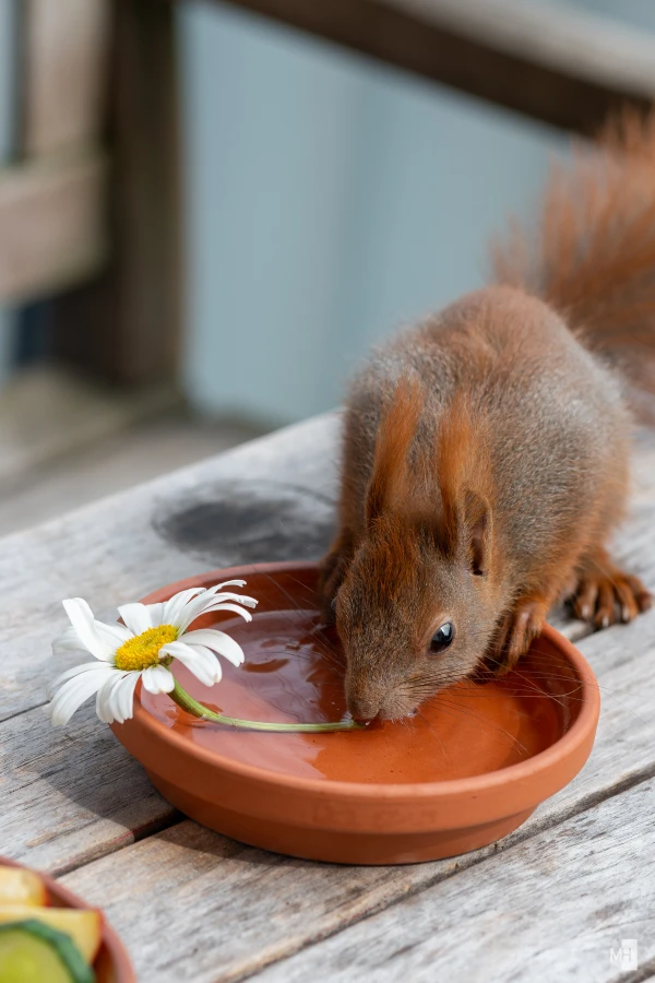 pixelgraphix-manuela-hoffmann-2025-juni-02-03