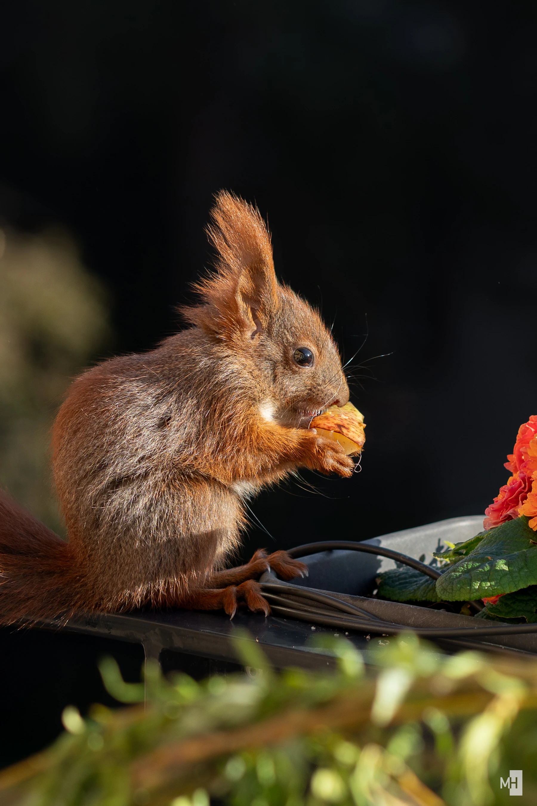 pixelgraphix-manuela-hoffmann-2025-april-28-33