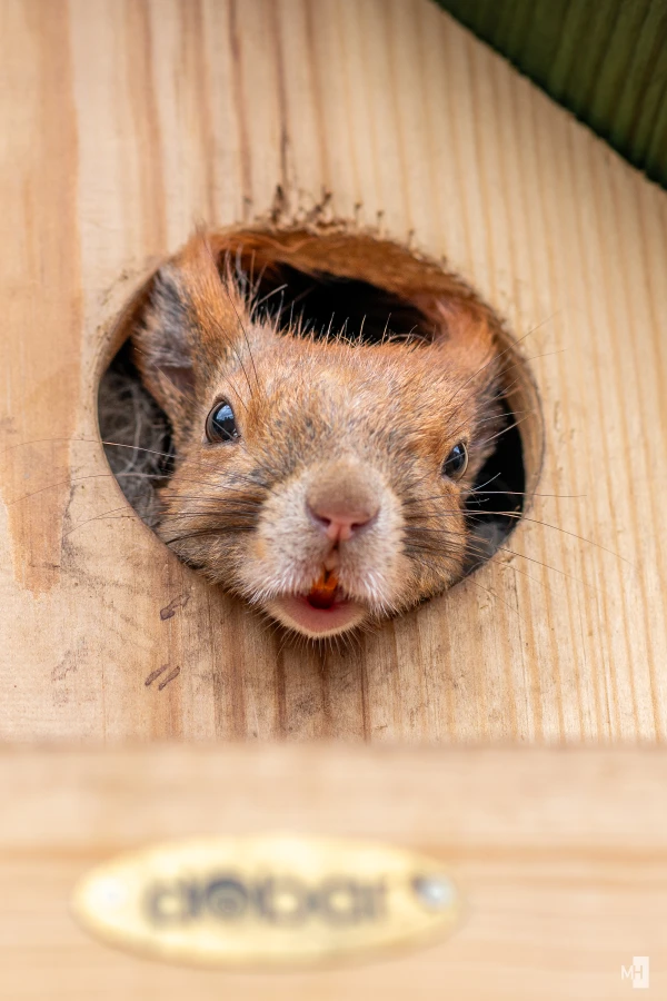 pixelgraphix-manuela-hoffmann-2025-april-15-08