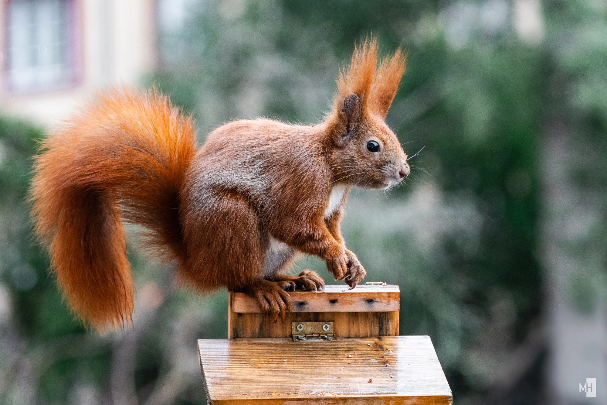 pixelgraphix-manuela-hoffmann-2025-januar-29-02