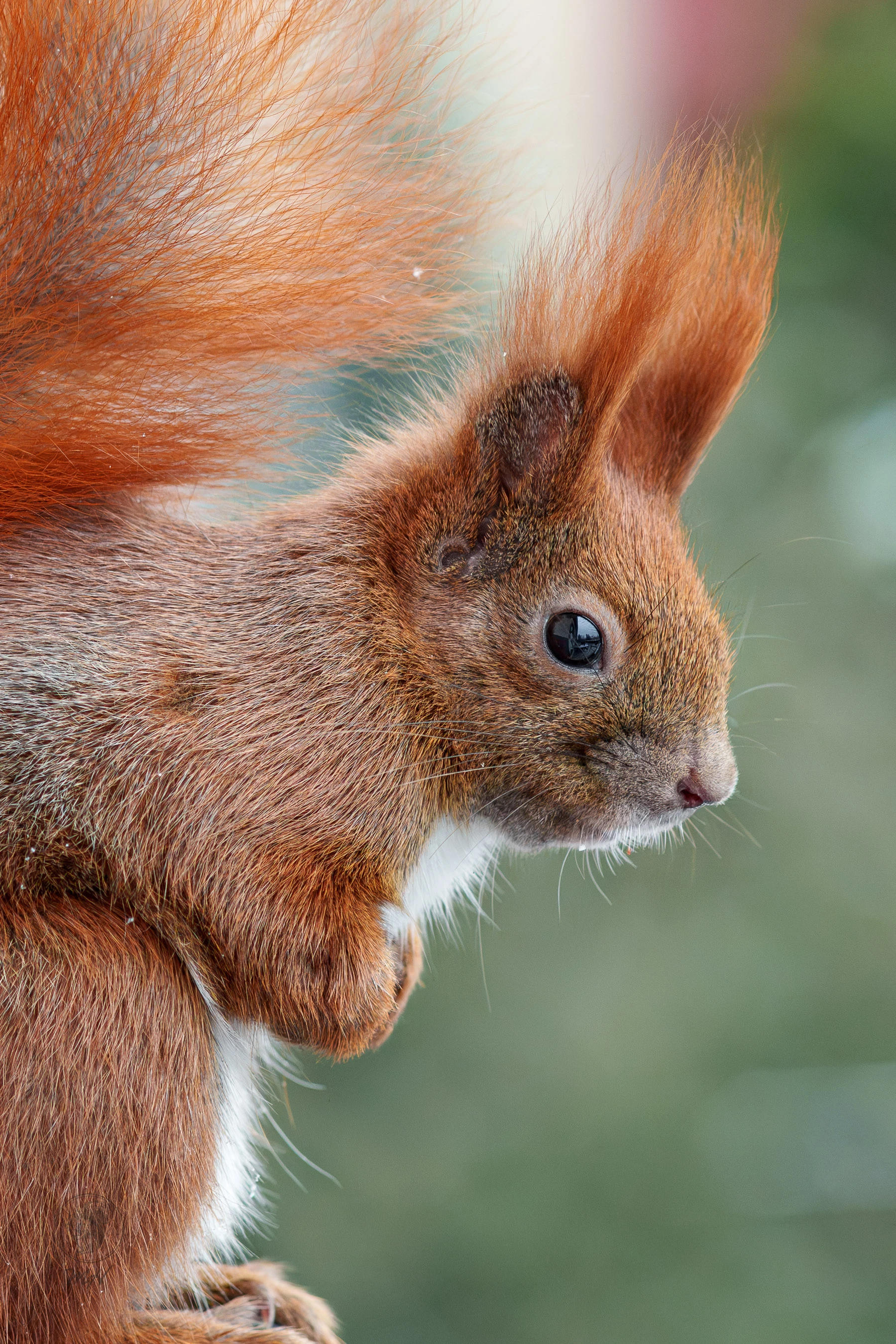 pixelgraphix-manuela-hoffmann-2026-januar-31-49-3