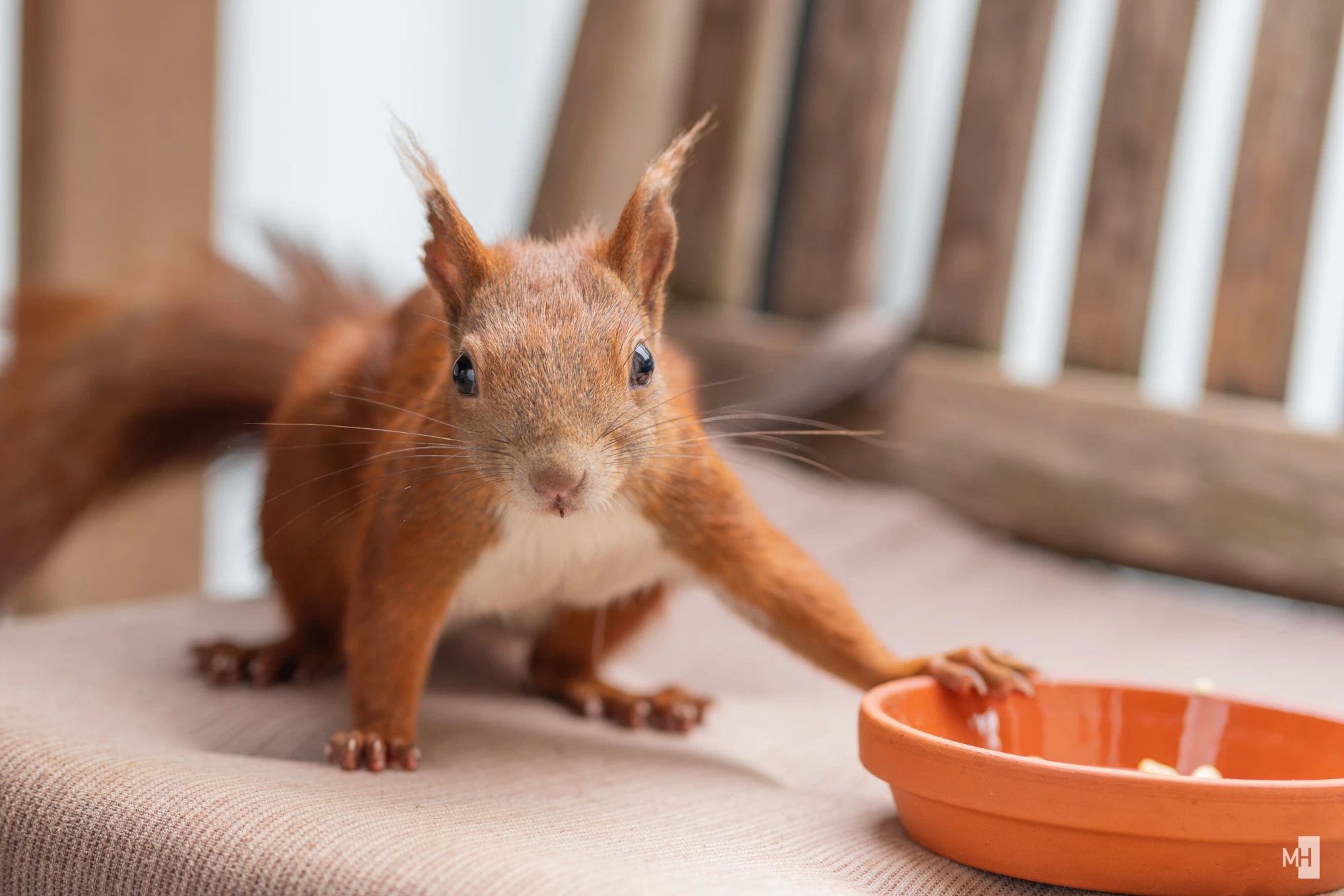 pixelgraphix-manuela-hoffmann-2025-juli-24-36