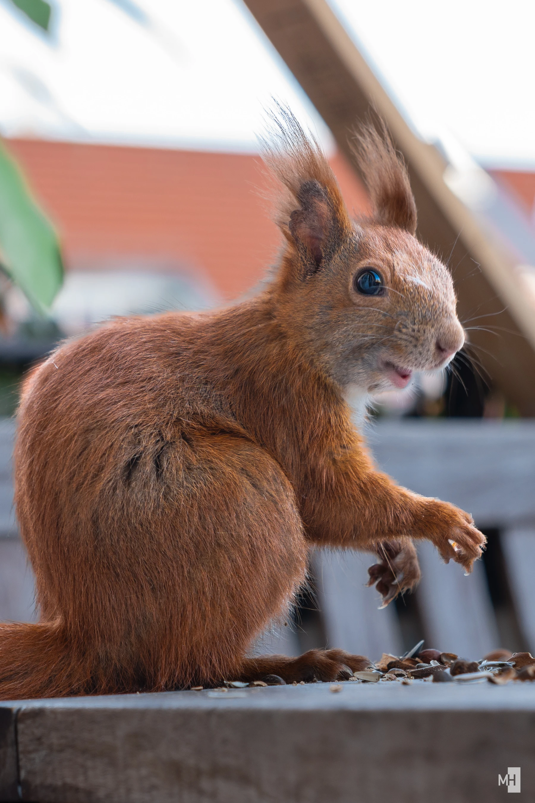 pixelgraphix-manuela-hoffmann-2025-april-12-15