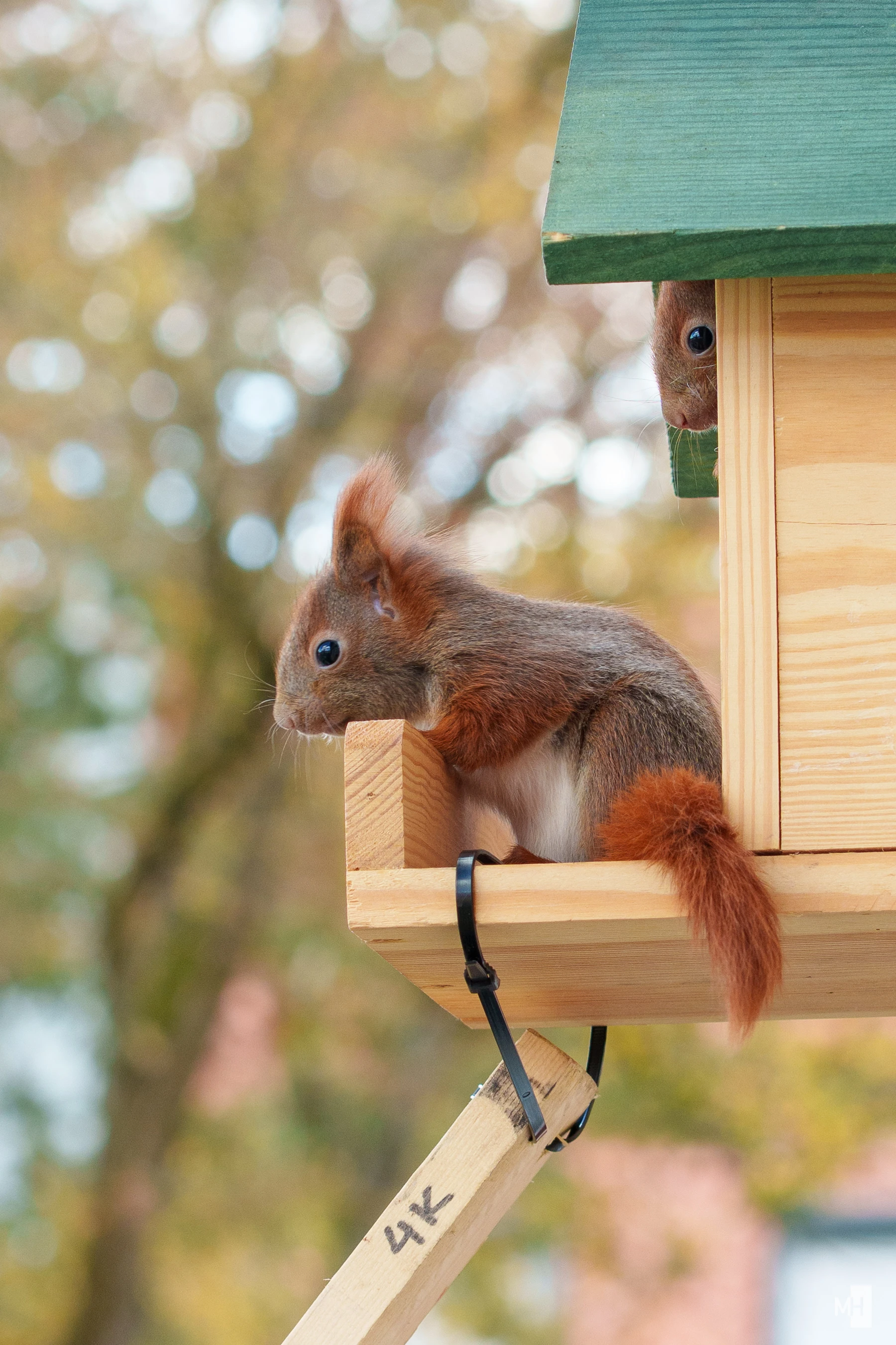 pixelgraphix-manuela-hoffmann-2025-april-01-32