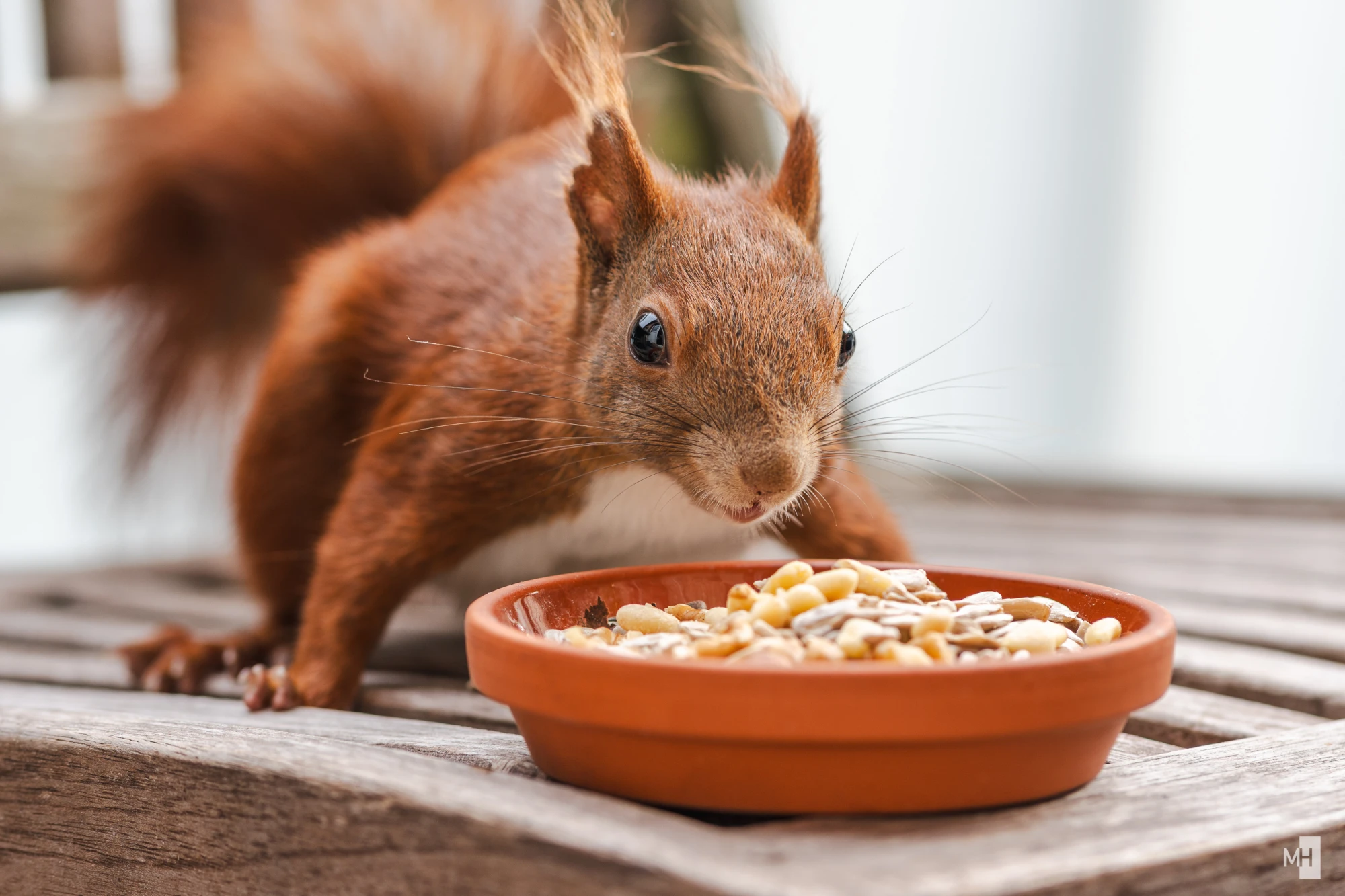 pixelgraphix-manuela-hoffmann-2025-juni-10-31