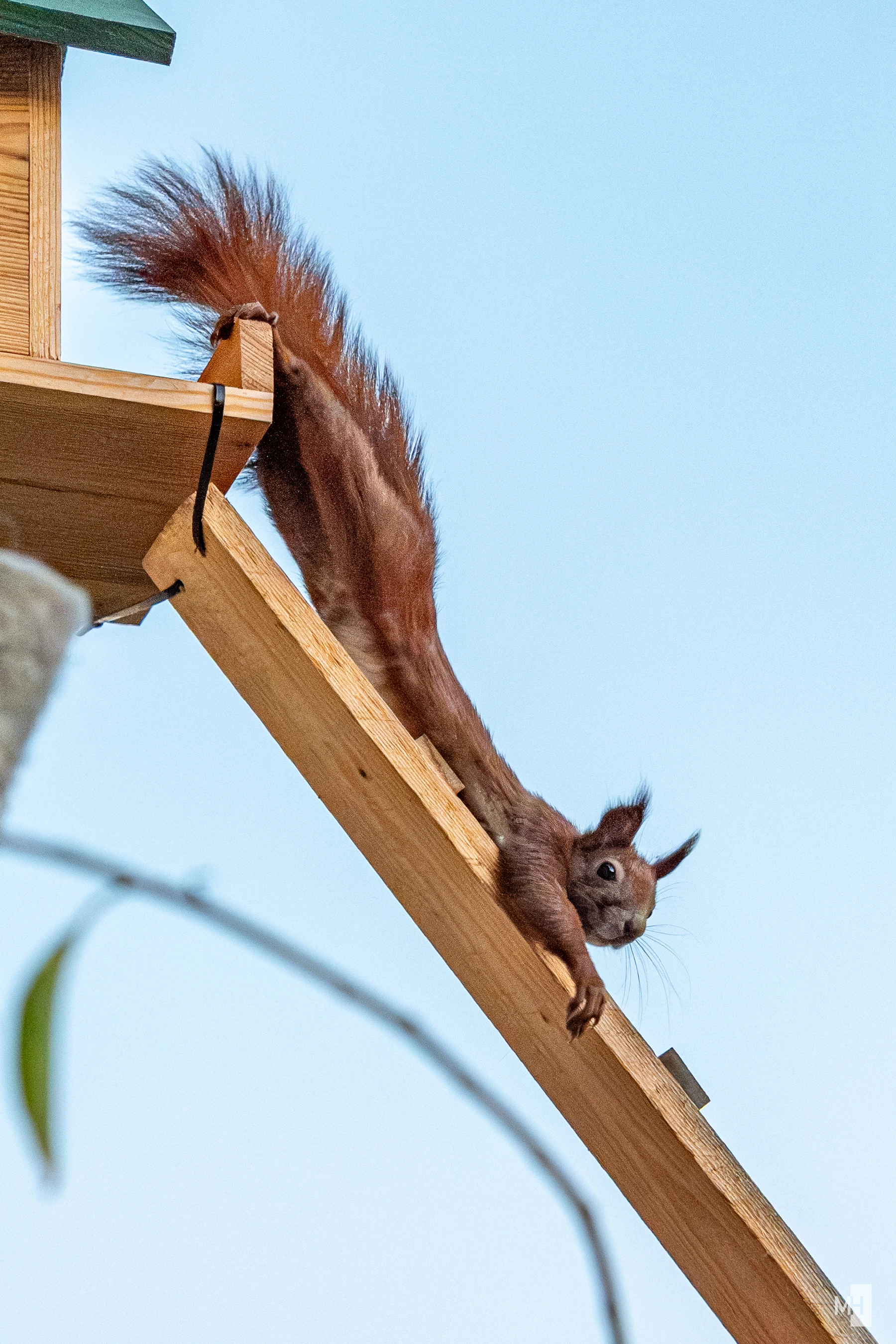 pixelgraphix-manuela-hoffmann-2025-september-30-18-2