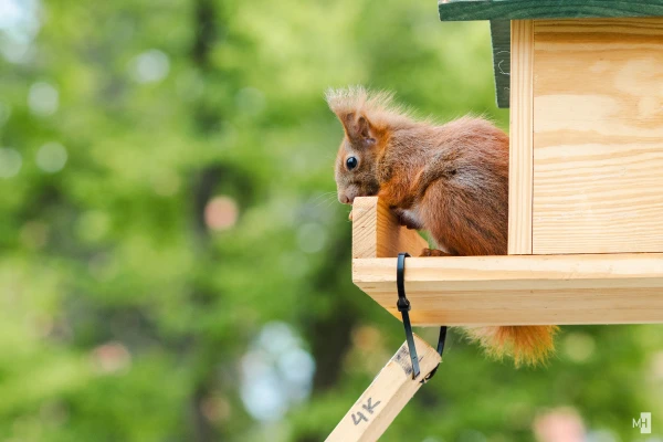 pixelgraphix-manuela-hoffmann-2025-april-25-33