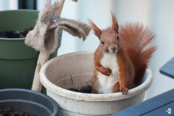 pixelgraphix-manuela-hoffmann-2025-marz-22-23