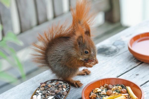 pixelgraphix-manuela-hoffmann-2025-april-24-50