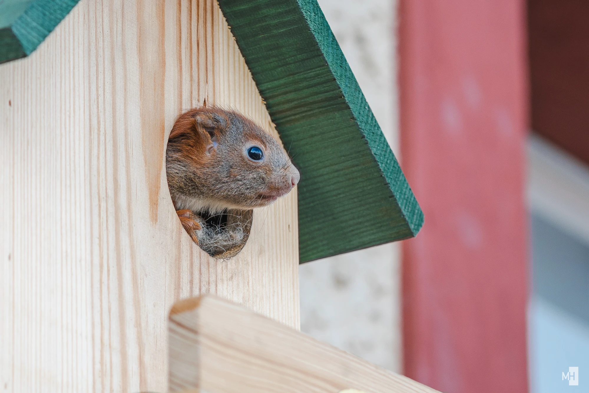 pixelgraphix-manuela-hoffmann-2025-marz-28-52