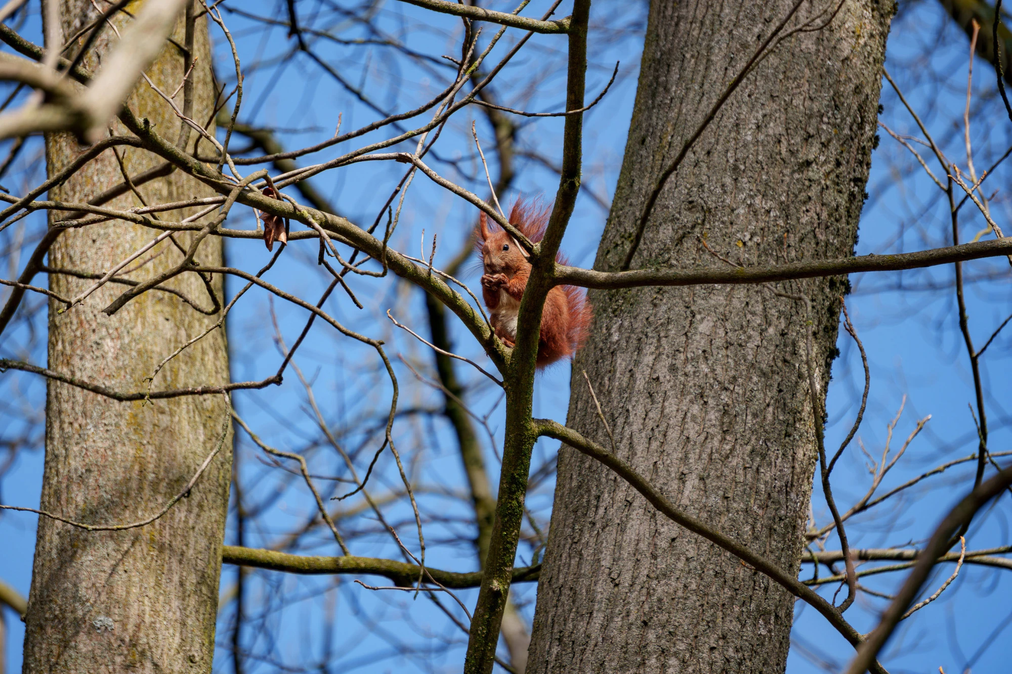 pixelgraphix-manuela-hoffmann-2026-april-01-10