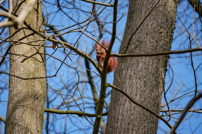 pixelgraphix-manuela-hoffmann-2026-april-01-10