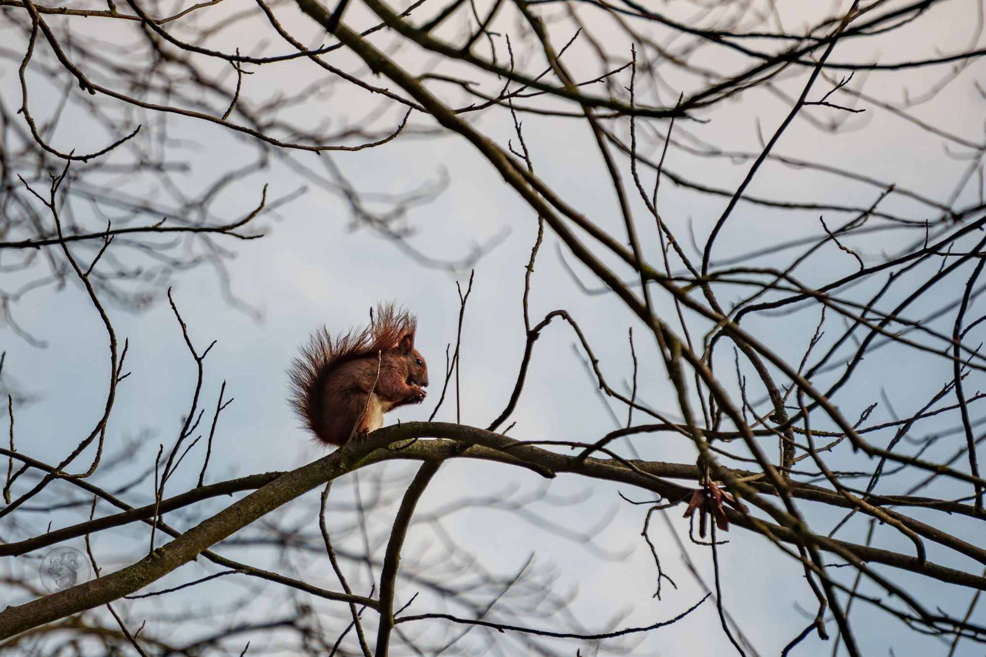 pixelgraphix-manuela-hoffmann-2026-april-01-50