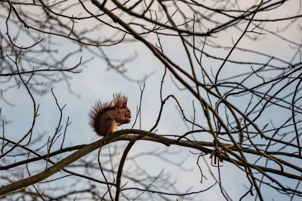 pixelgraphix-manuela-hoffmann-2026-april-01-50