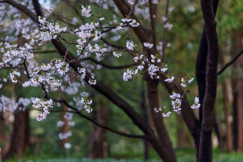 pixelgraphix-manuela-hoffmann-2026-april-01-54