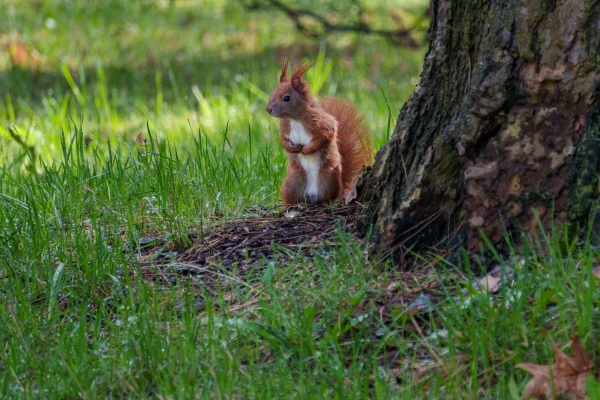 pixelgraphix-manuela-hoffmann-2026-april-01-03