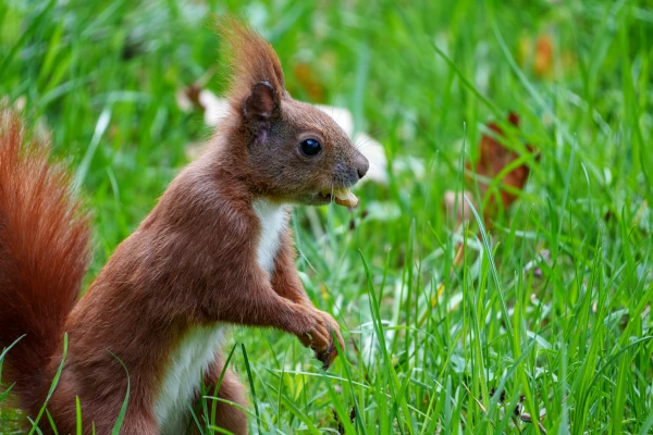 pixelgraphix-manuela-hoffmann-2026-april-07-21