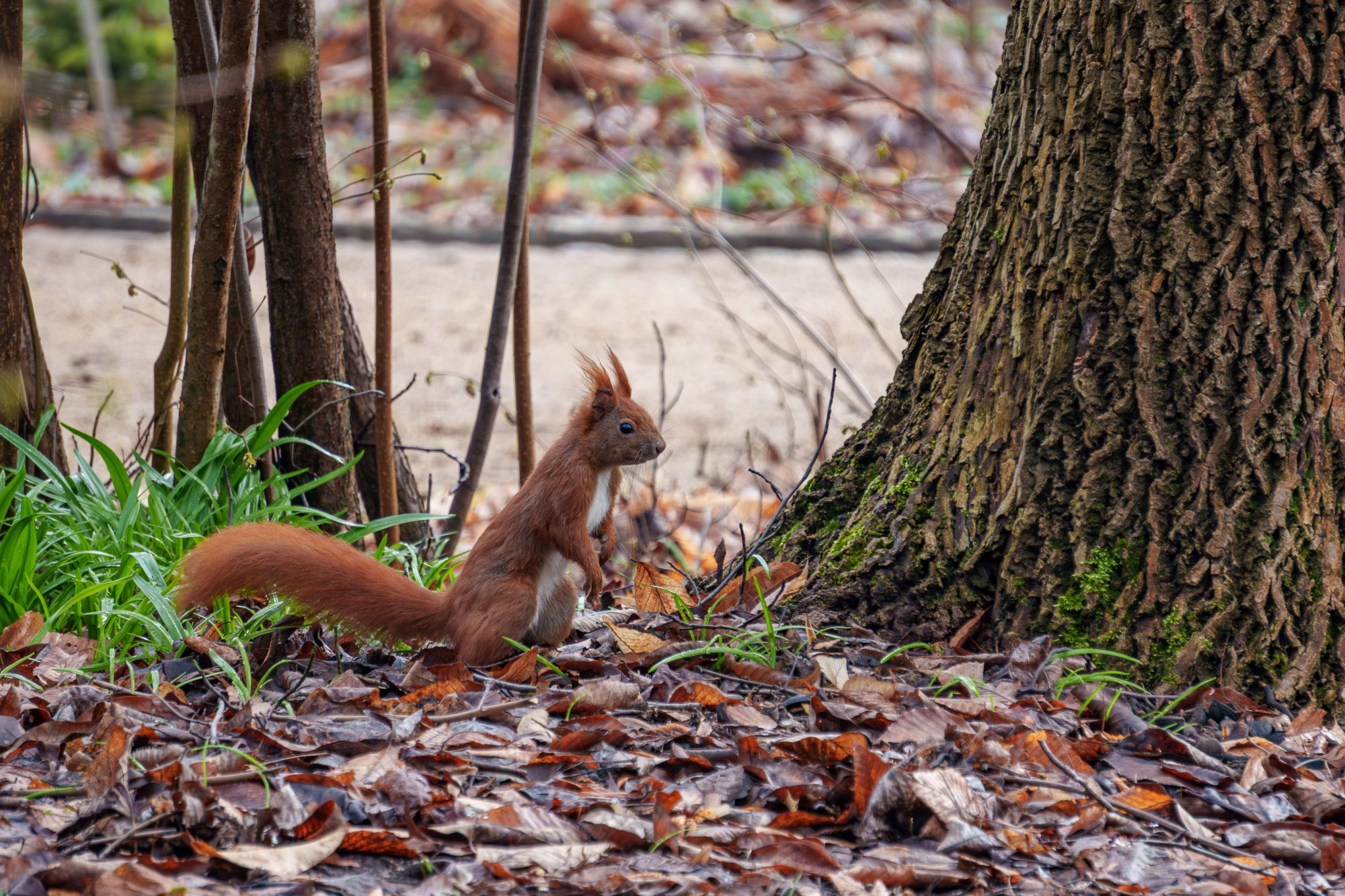 pixelgraphix-manuela-hoffmann-2026-april-01-43