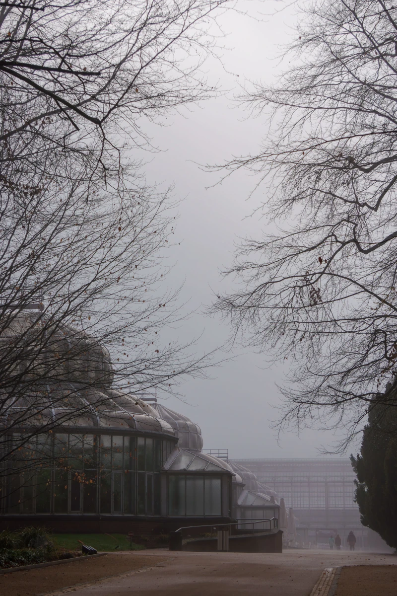 pixelgraphix-manuela-hoffmann-2026-april-01-51