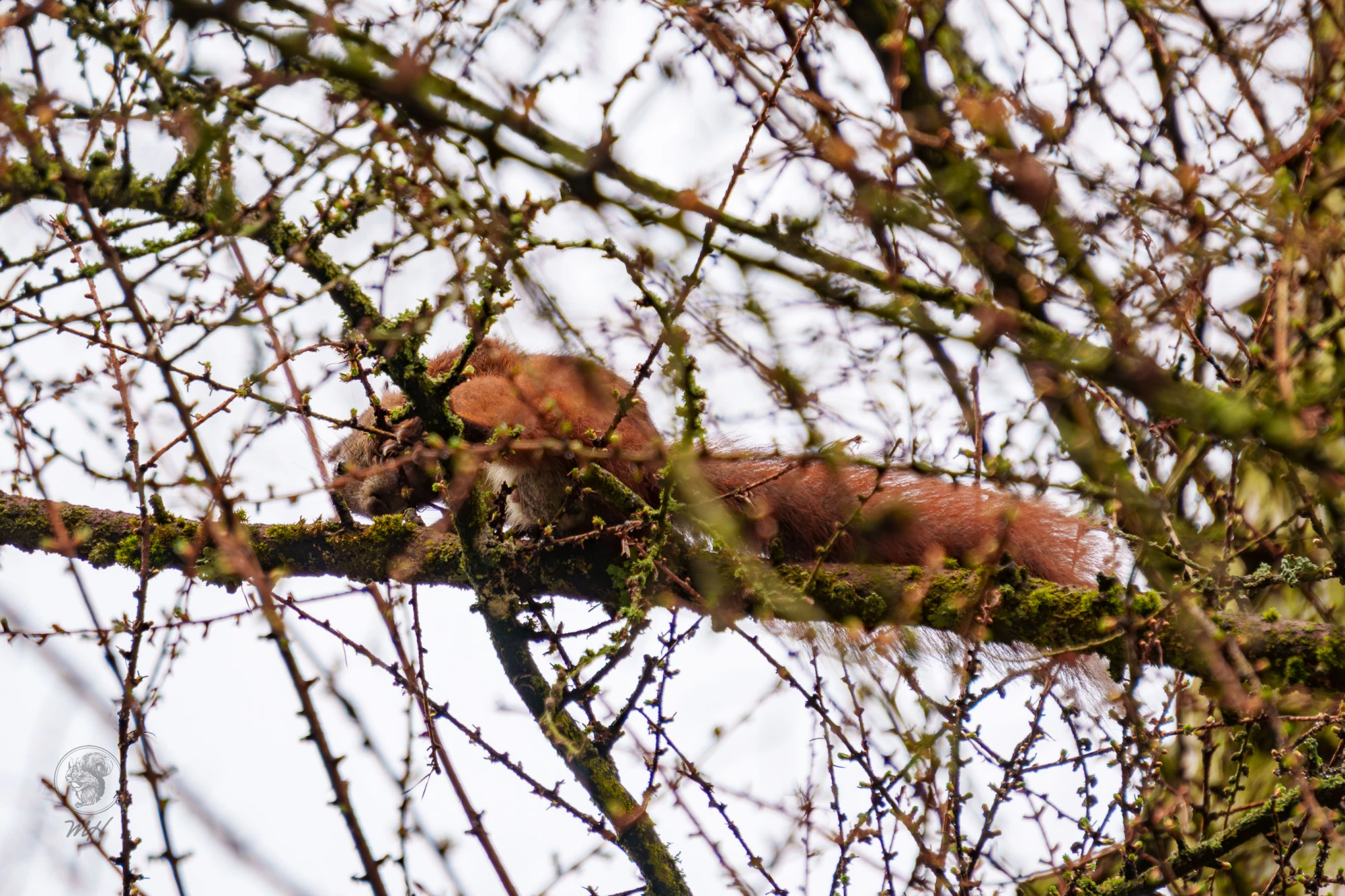 pixelgraphix-manuela-hoffmann-2026-april-01-34