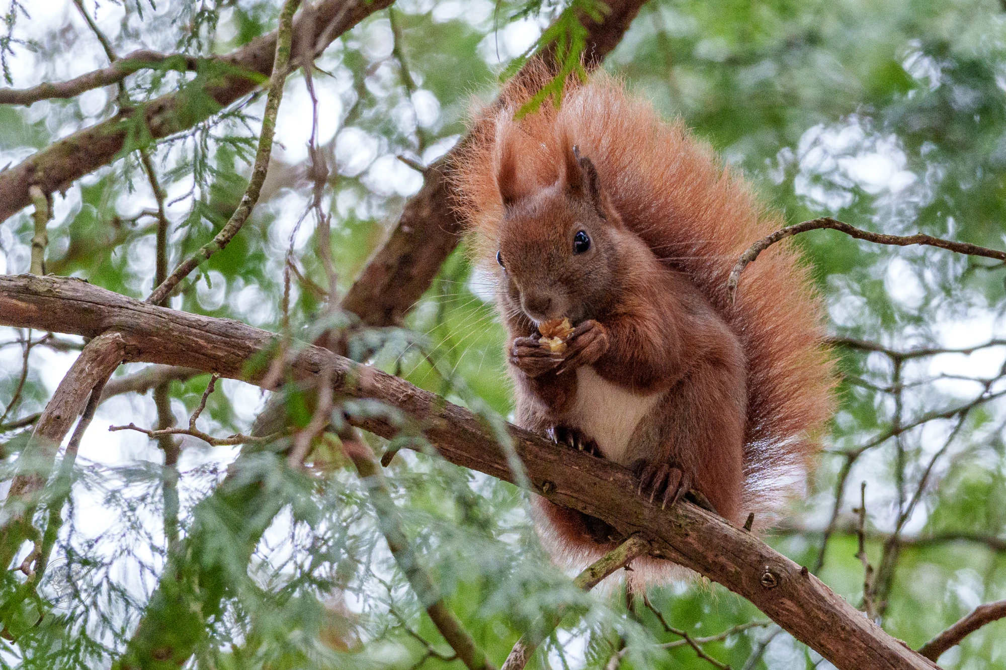 pixelgraphix-manuela-hoffmann-2026-april-07-01