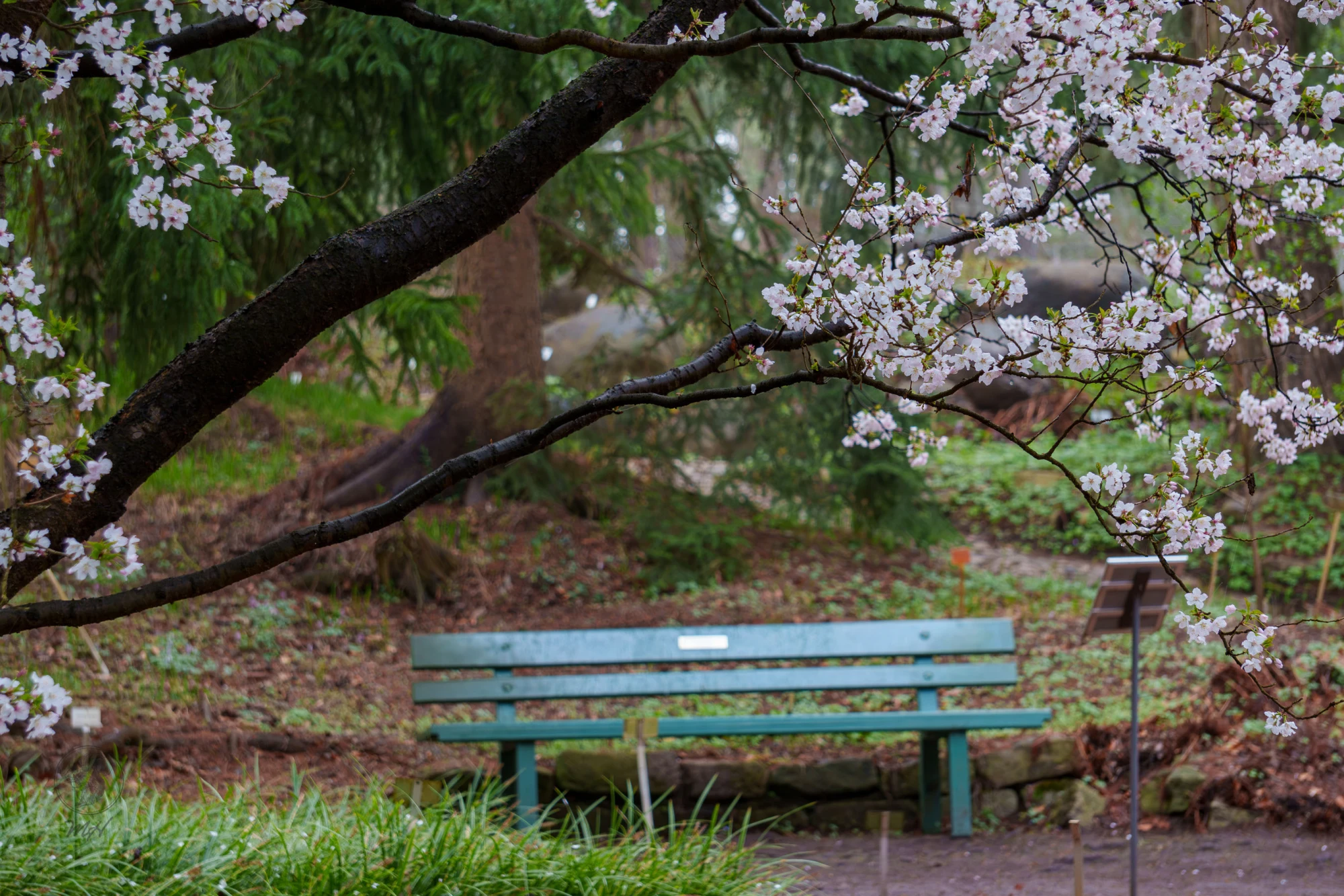 pixelgraphix-manuela-hoffmann-2026-april-01-08