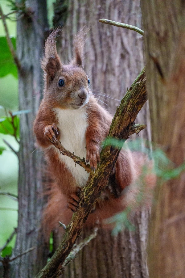 pixelgraphix-manuela-hoffmann-2026-april-07-35-3