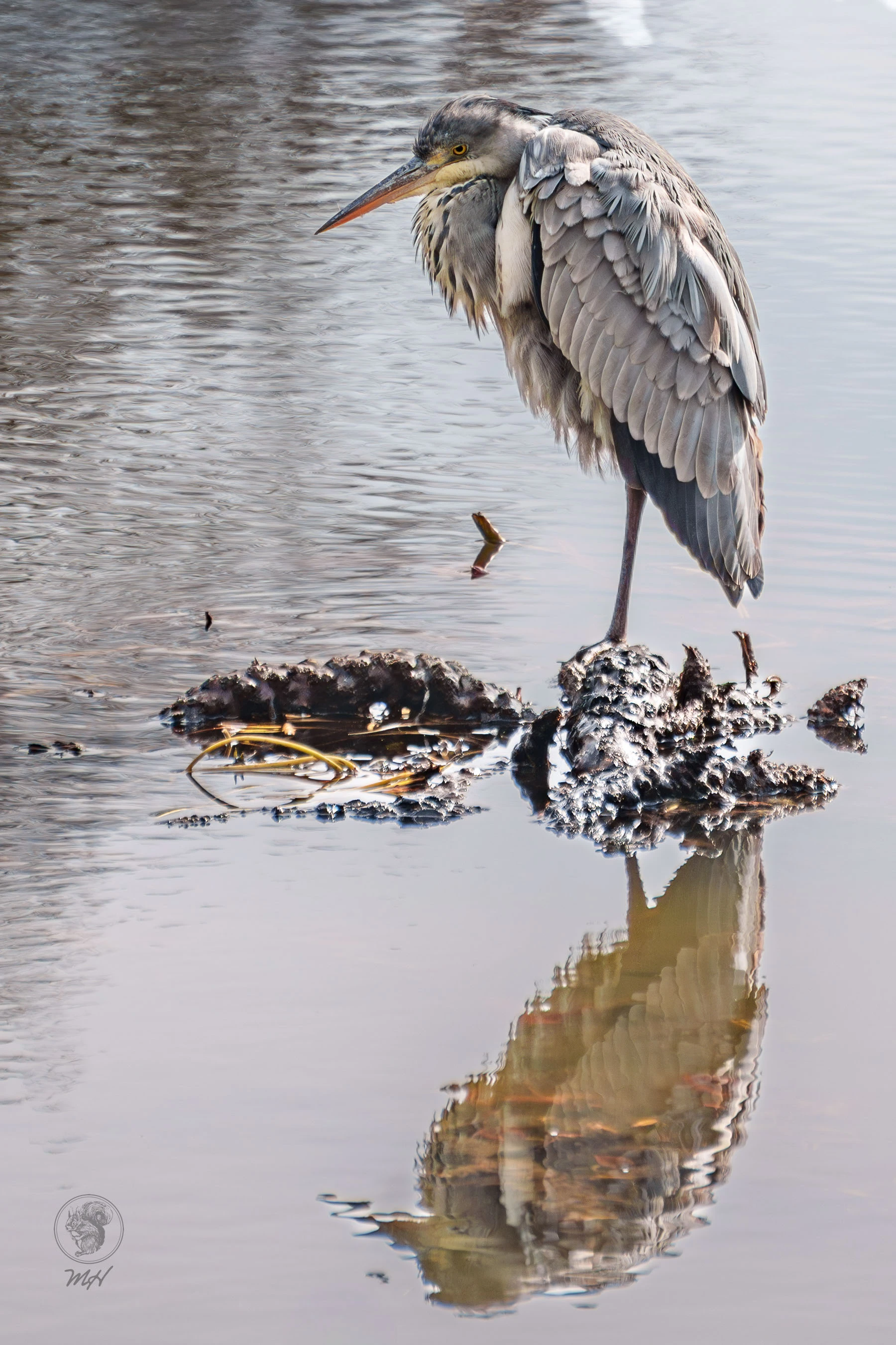 pixelgraphix-manuela-hoffmann-2026-april-01-41