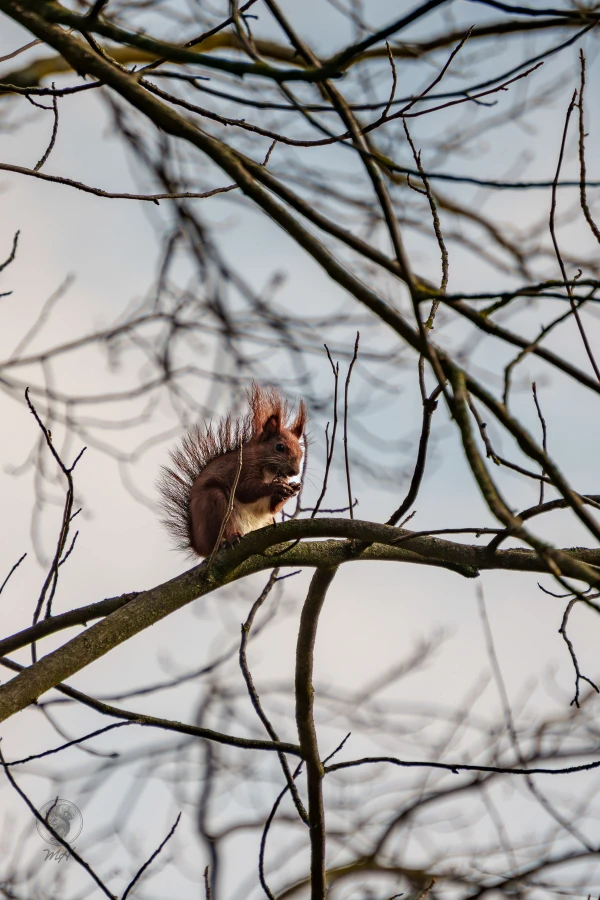 pixelgraphix-manuela-hoffmann-2026-april-01-15