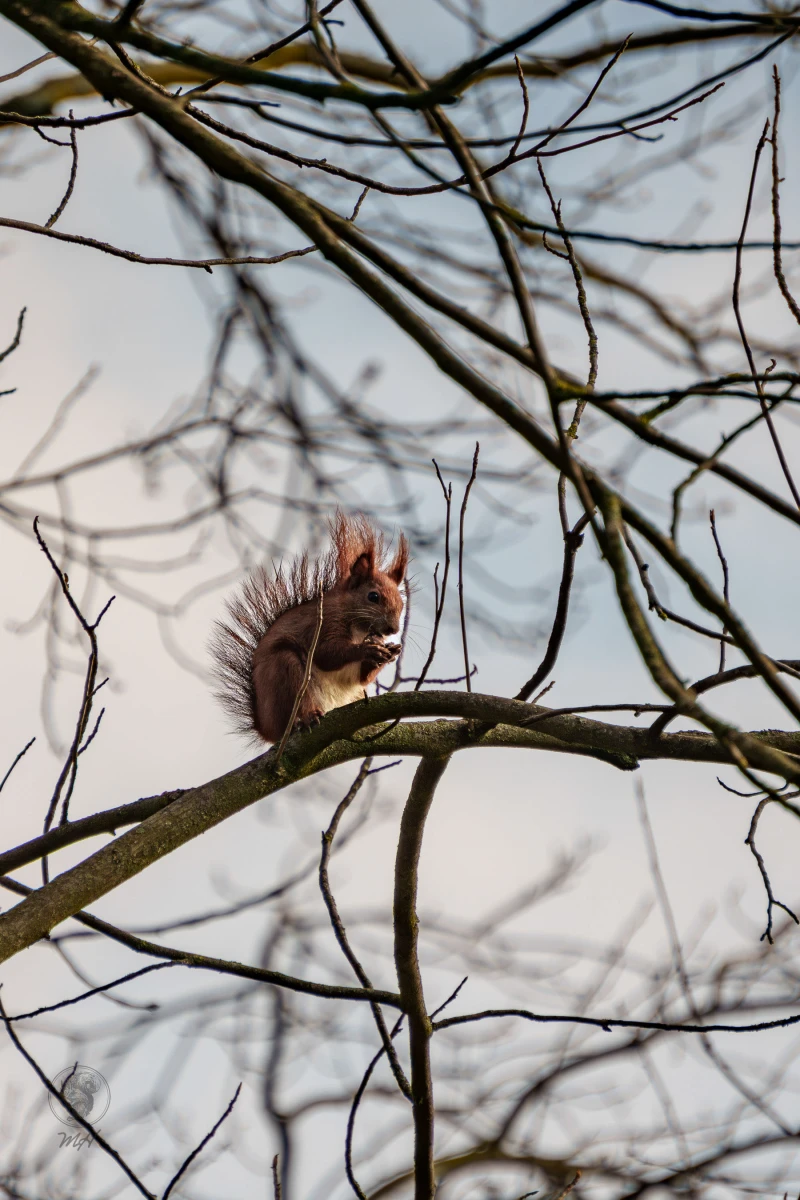 pixelgraphix-manuela-hoffmann-2026-april-01-15