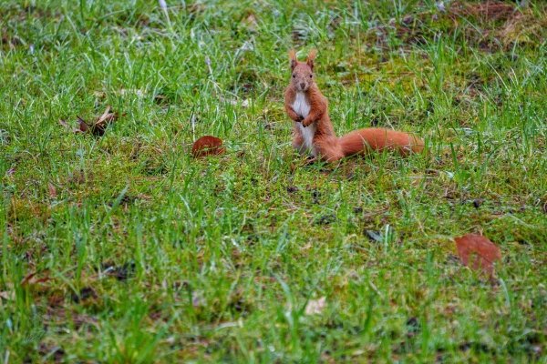 pixelgraphix-manuela-hoffmann-2026-april-01-12