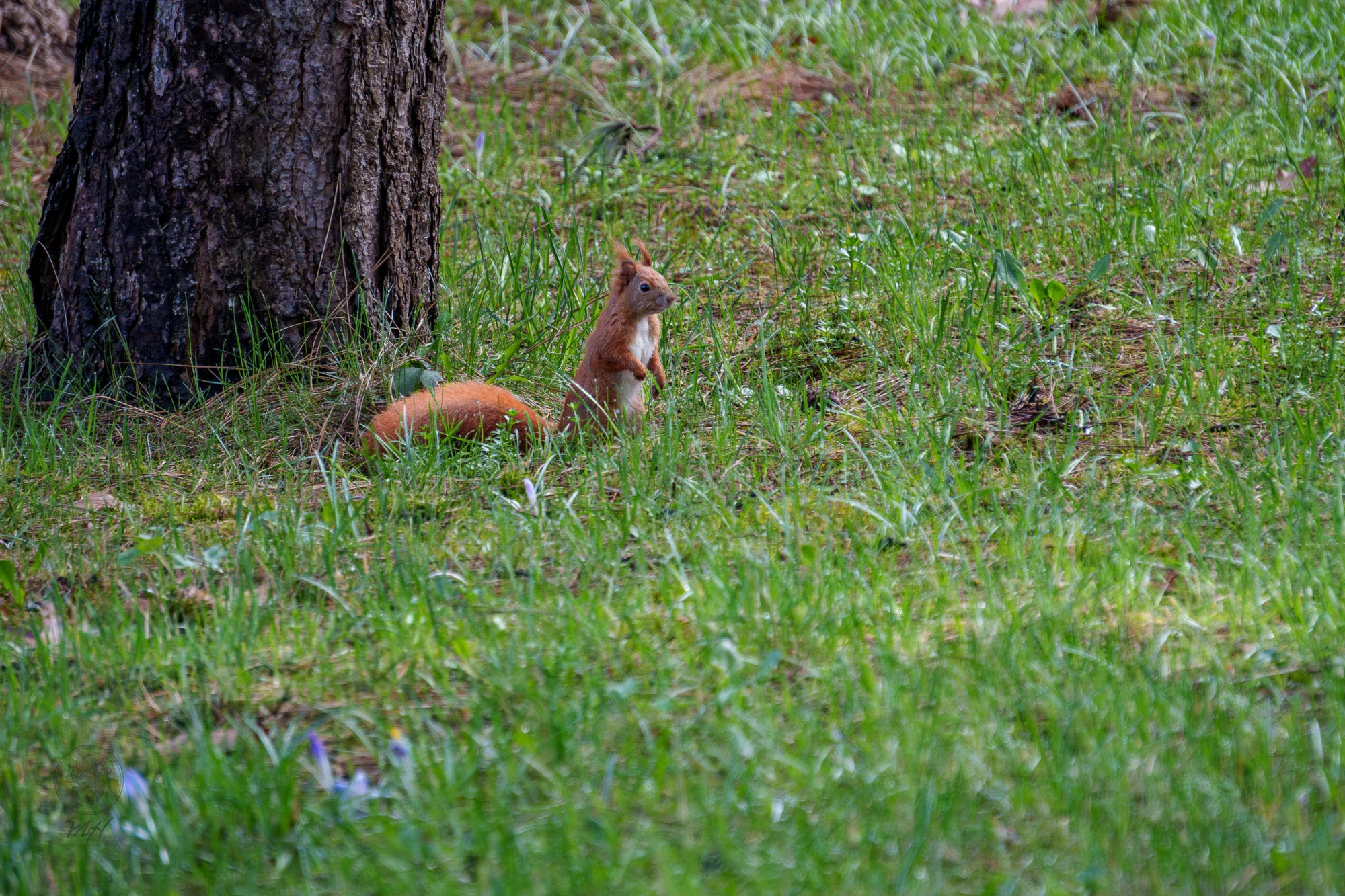 pixelgraphix-manuela-hoffmann-2026-april-01-32