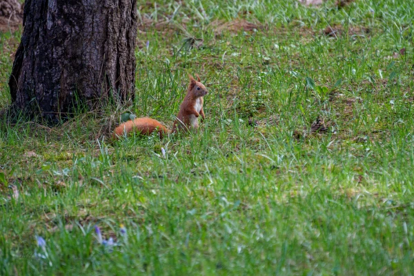 pixelgraphix-manuela-hoffmann-2026-april-01-32