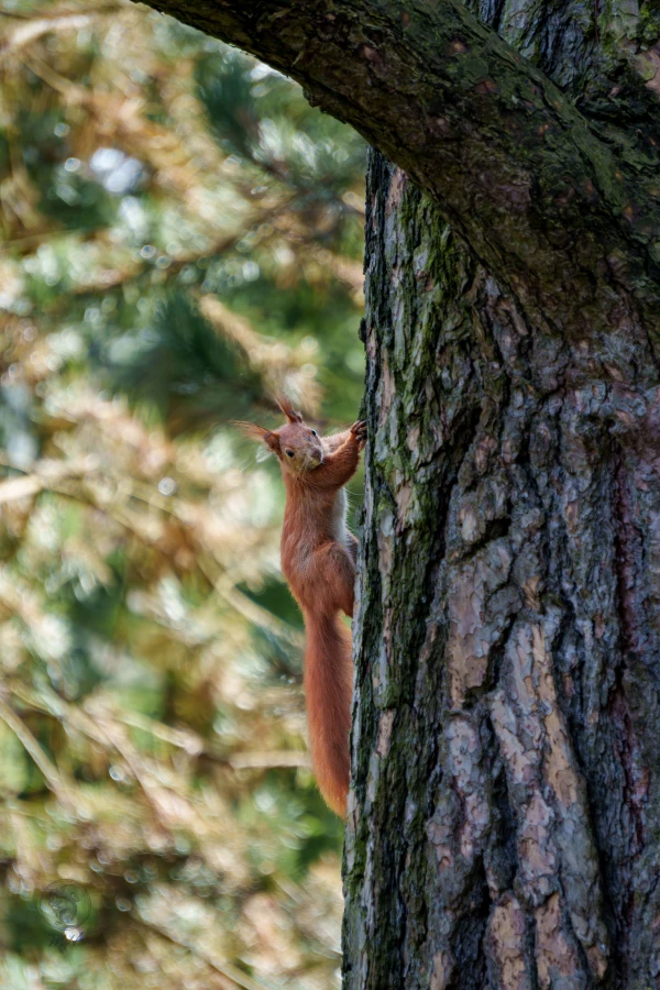 pixelgraphix-manuela-hoffmann-2026-april-01-31