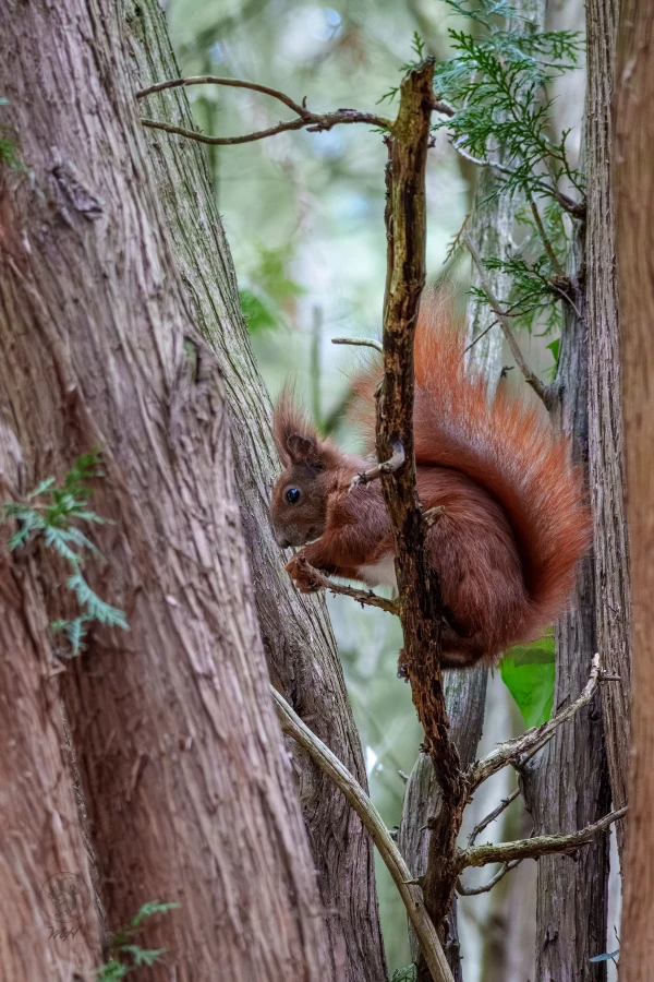 pixelgraphix-manuela-hoffmann-2026-april-07-45