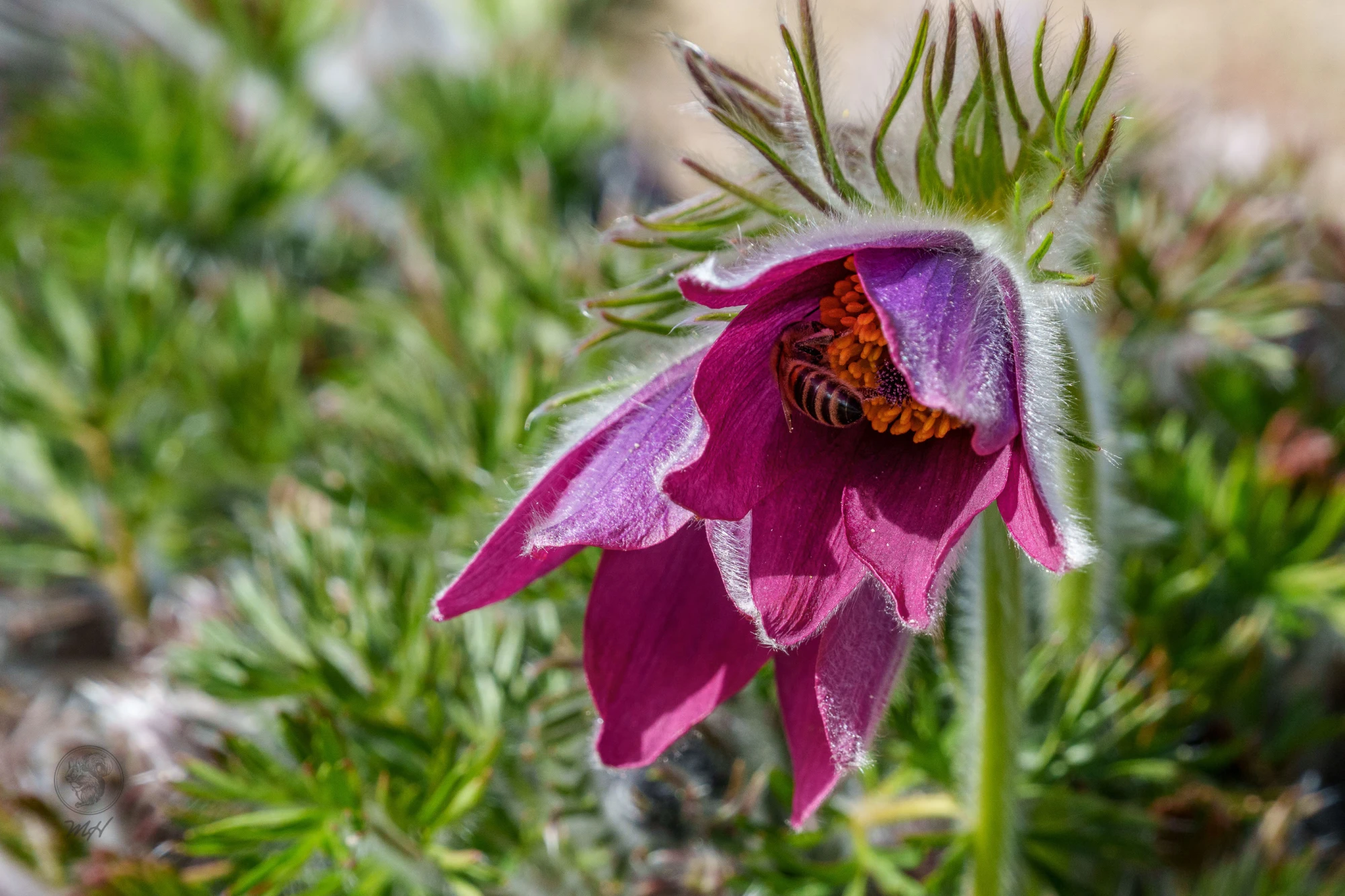 pixelgraphix-manuela-hoffmann-2026-april-02-03