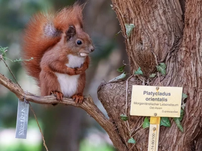 Botanischer Garten Berlin