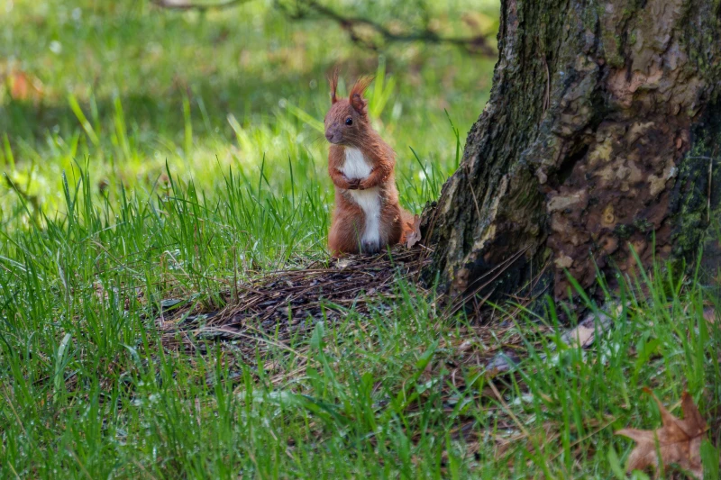 pixelgraphix-manuela-hoffmann-2026-april-01-12-2