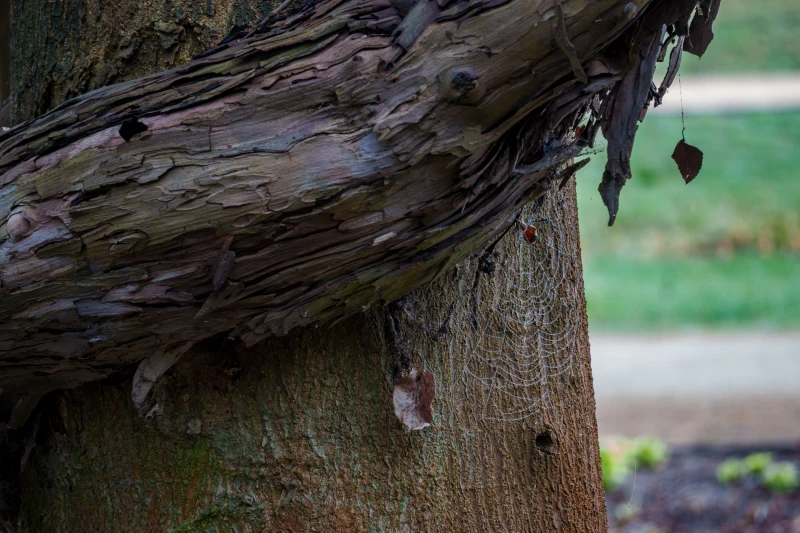 pixelgraphix-manuela-hoffmann-2026-april-01-06