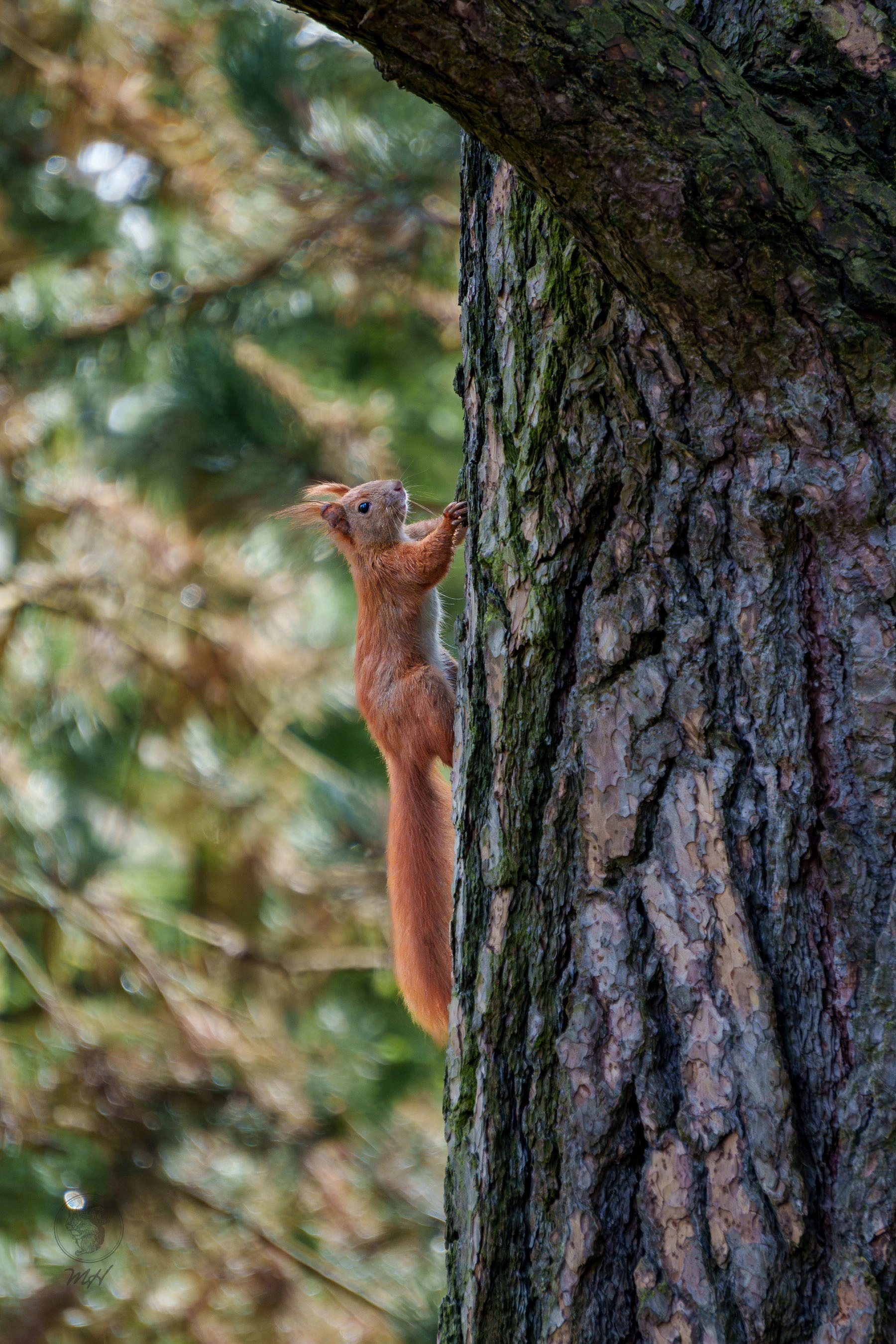 pixelgraphix-manuela-hoffmann-2026-april-01-34-3