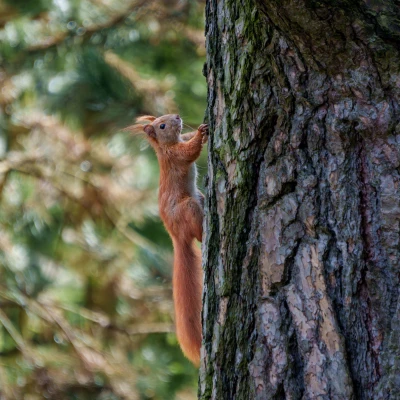 pixelgraphix-manuela-hoffmann-2026-april-01-34-3