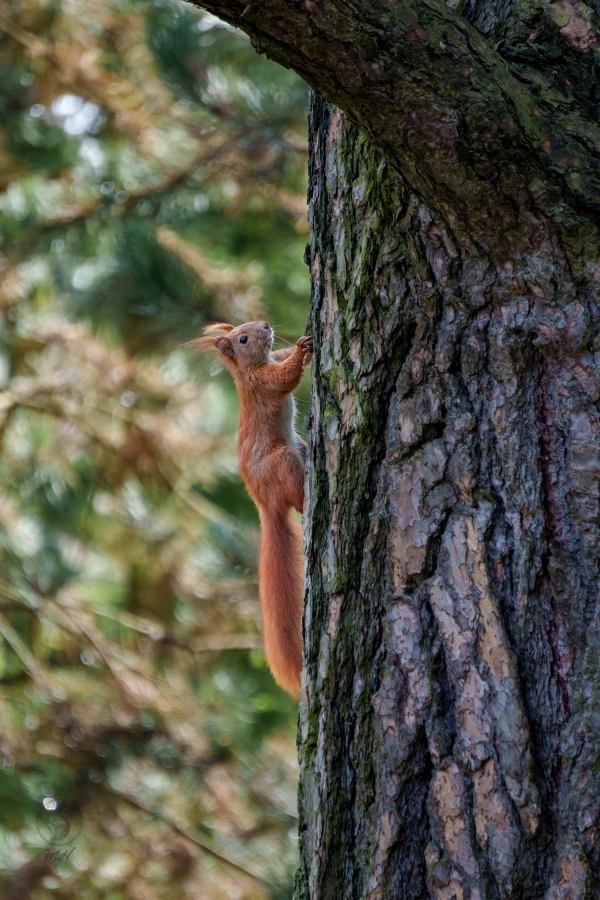 pixelgraphix-manuela-hoffmann-2026-april-01-34-3