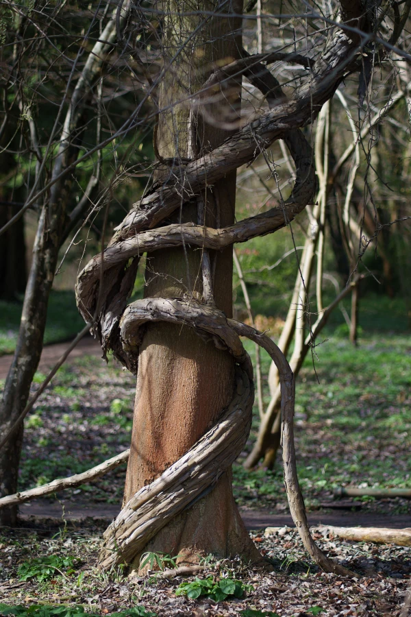 pixelgraphix-manuela-hoffmann-2026-april-01-43-2